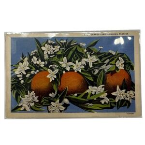 Vintage Linen‎ Postcard Florida Oranges and Flower Blossoms Curt Teich